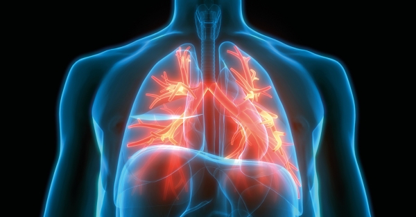 SU RICHIESTA | GC×GC-HR-TOFMS per lo screening non mirato di Breathomics